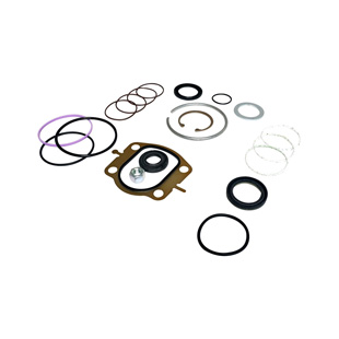 Steering Gear Assembly Master Repair Kit