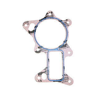 Water Pump Gasket