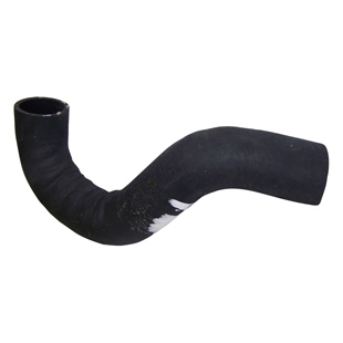 Kühlerschlauch, unten