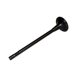 Exhaust Valve