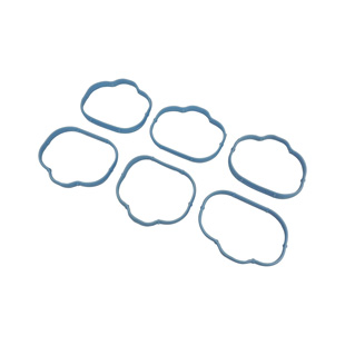 Intake Manifold Gasket Set, Lower