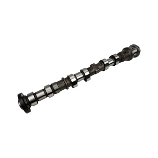 Exhaust Camshaft, Left