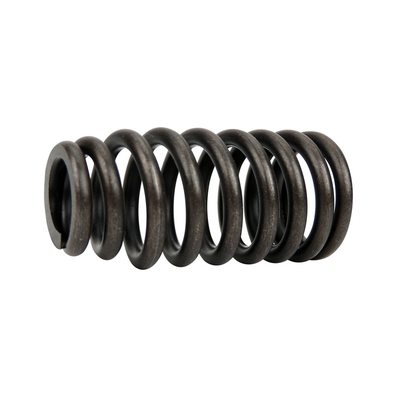 Valve Spring