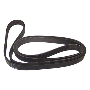 Accessori cintura