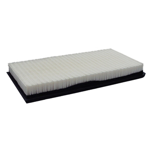 Filtro aria (2.5L, 4.0L)