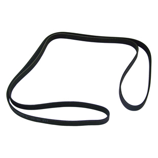 Accessori cintura