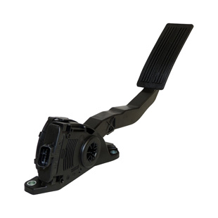 Accelerator Pedal Assembly