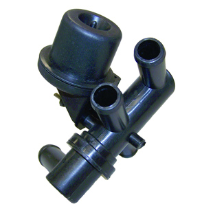 Anima valvola, Valvola manutenzione