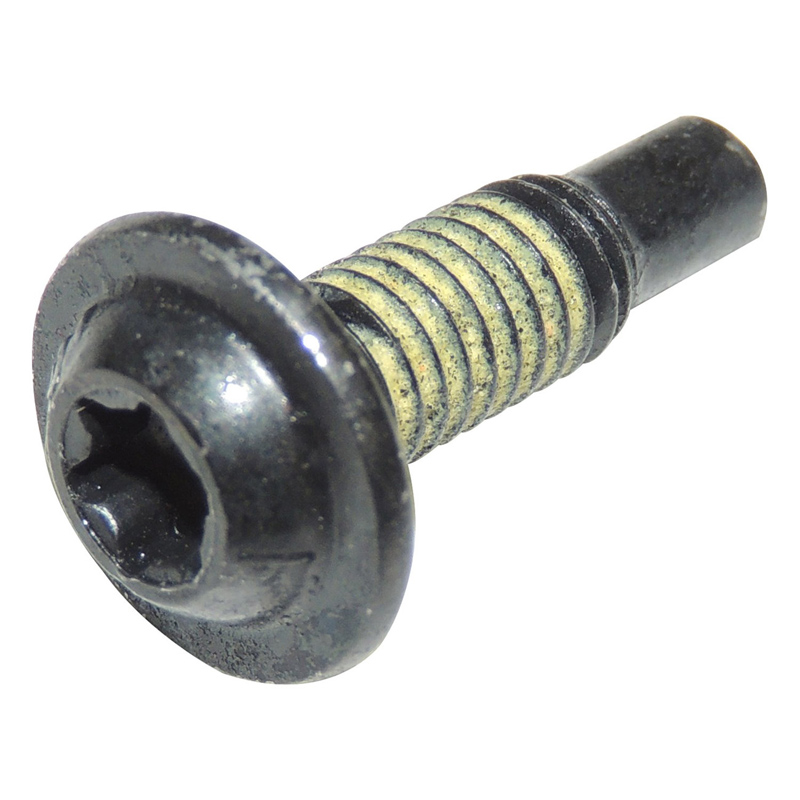 Perno de cabeza Torx