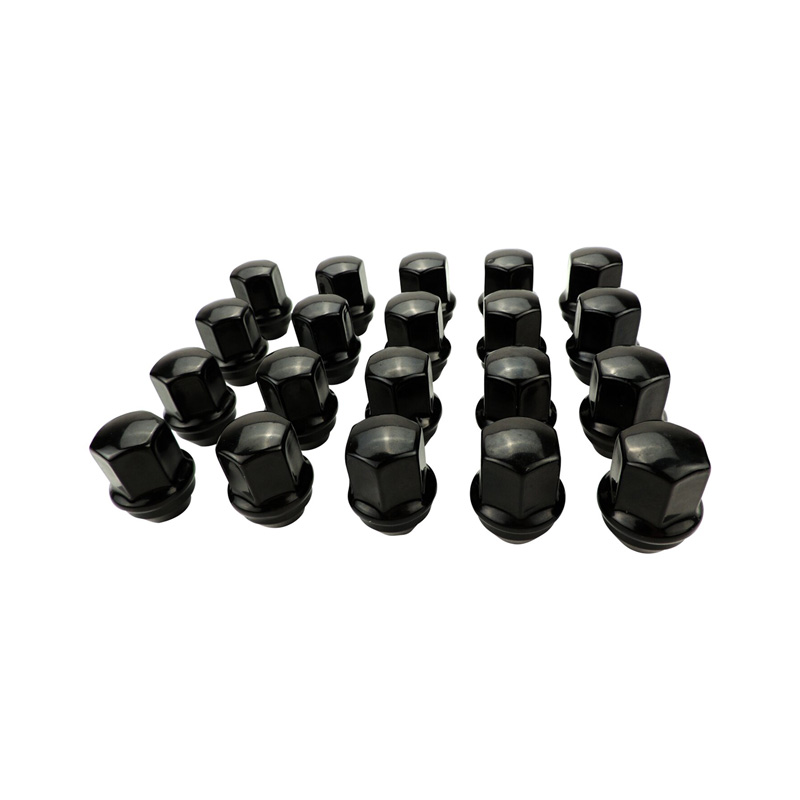 Lug Nut Kit, 20 Pcs