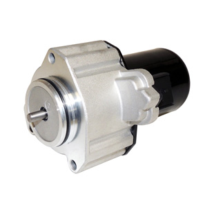 Transfer Case Gear Motor