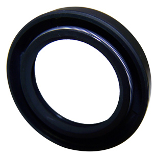 Input Shaft Seal