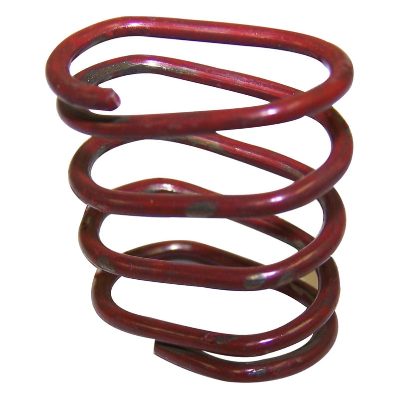 Parking Brake Strut Spring, bakre