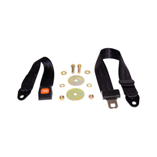 Seat Belt, bagtil