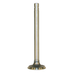 Exhaust Valve