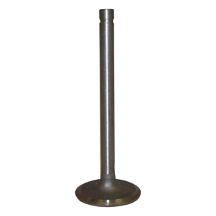 Intake Valve
