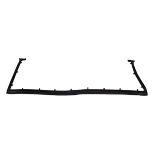 Tailgate Weatherstrip, posteriore