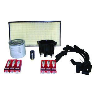 Service TUNE UP sats